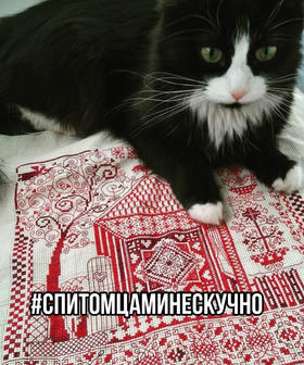 #спитомцаминескучно