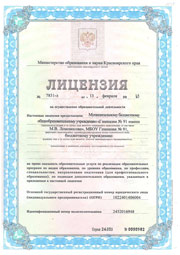 Лицензия стр.1
