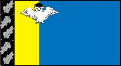 Флаг Гимназии